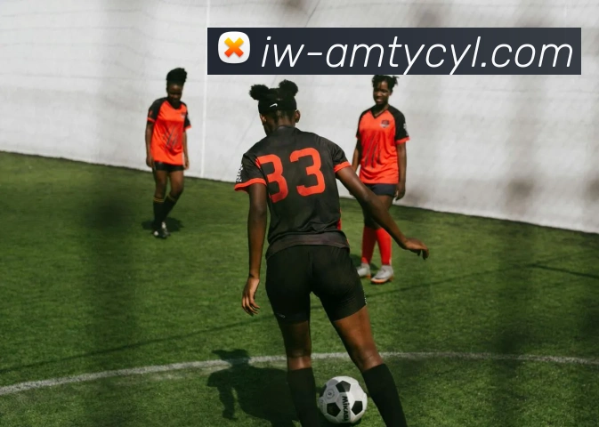 多媒体互动体验